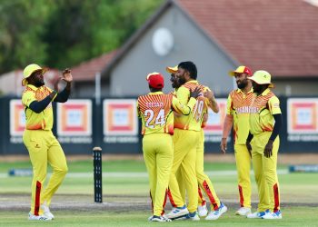 Cricket Cranes a win away from T20 World Cup history