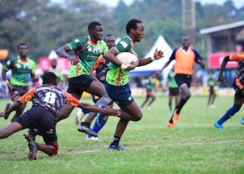 Impis eye top-flight comeback as championship playoffs approach